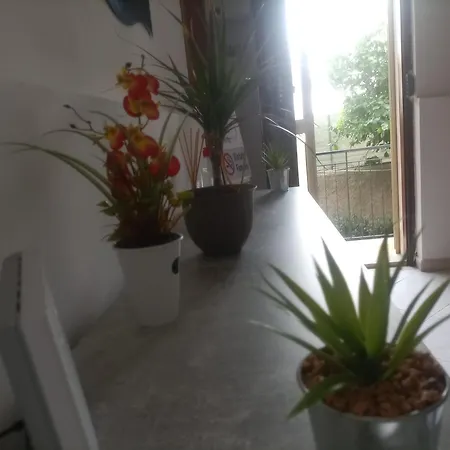 Casa Dalila